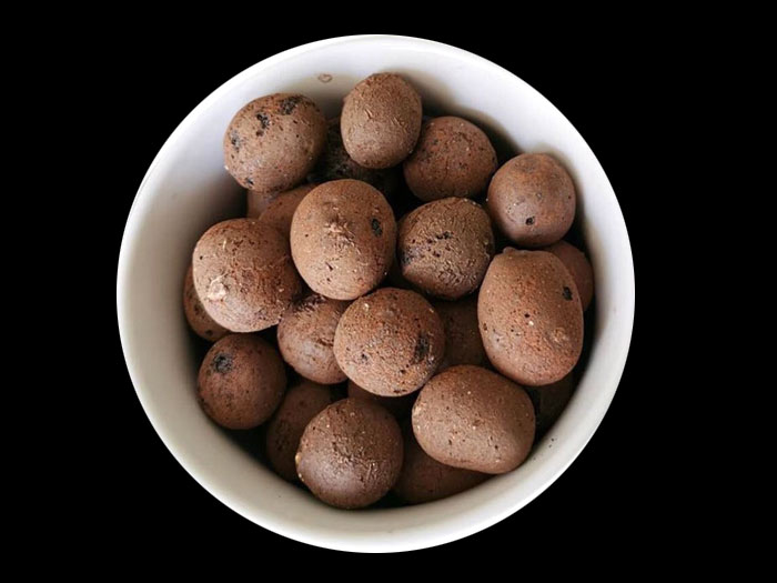 ���������V��